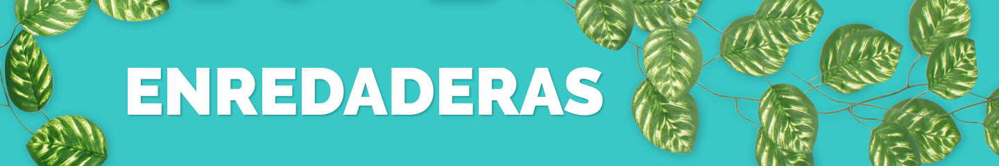 Enredaderas