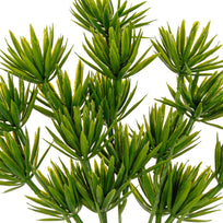 Art.1014 Plata Fina x5 33cm 1pz