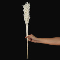 Art.11098 Vara Sorgo 50cm 1pz