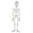 Fantasías Miguel Art.11650 Esqueleto Plástico Plano 150cm 1pz Blanco