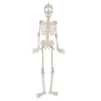 Art.11651 Esqueleto Plástico Plano 90cm 1pz