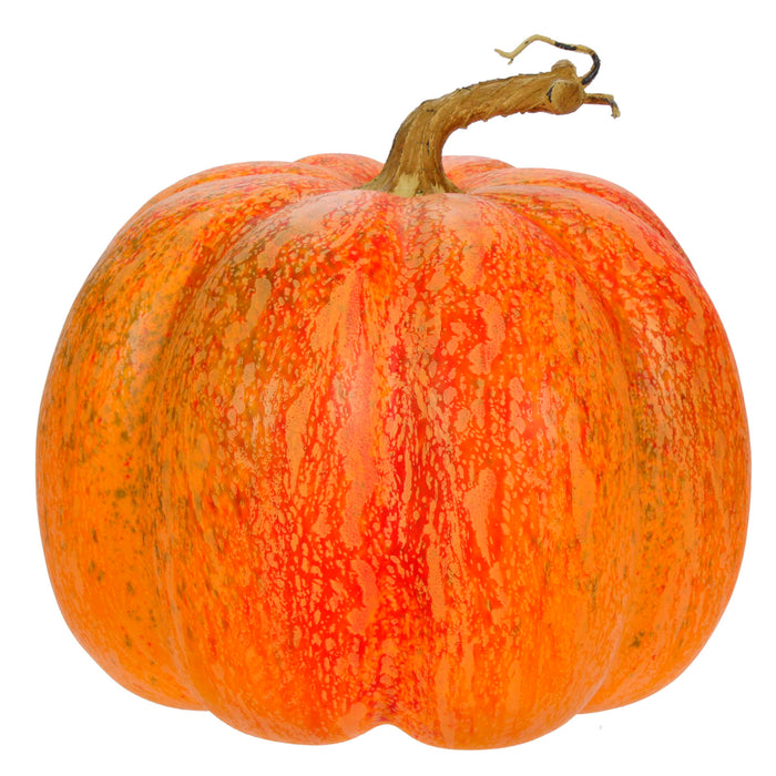 Art.11675 Calabaza Premium