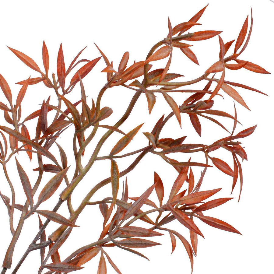 Art.2604 Plantita x5 Color Vintage 40cm 1pz