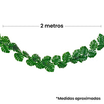 Art.2640 Enredadera Fina Follaje 2m 1pz