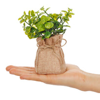 Art.10536 Planta Base De Yute 15cm 1pz