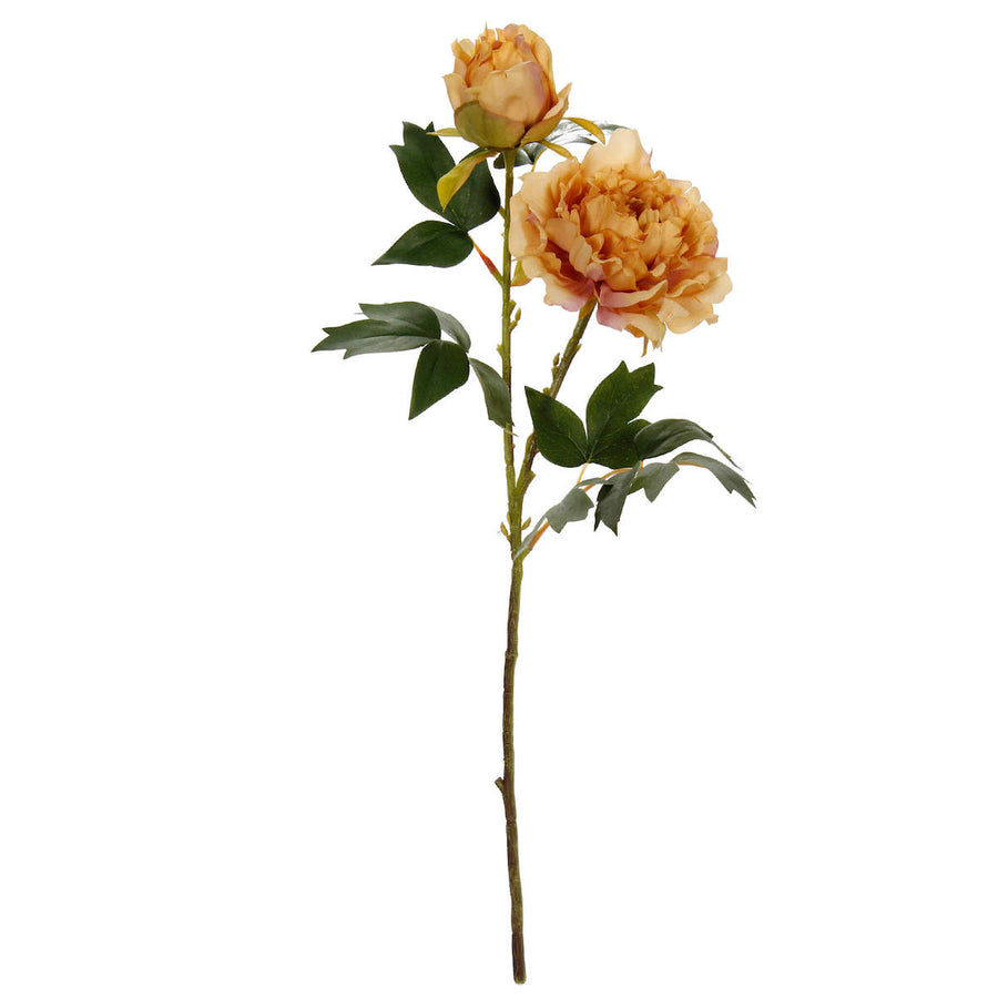 Art.10600 Flor Fina Peony