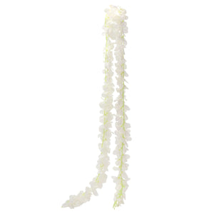 Art.3048 Guía De Orquídeas