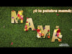 Fantasías Miguel Clave:PR18 Letra A Con Flores
