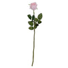 image variant Rosa