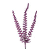 image variant Rosa