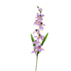 image variant Lavanda