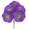 image variant Morado