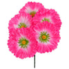 image variant Rosa