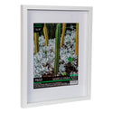Fantasías Miguel