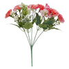 image variant Rosa