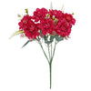 image variant Rosa/Rosa Cl