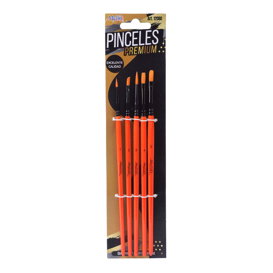 Art.12080 Juego Pinceles Premium