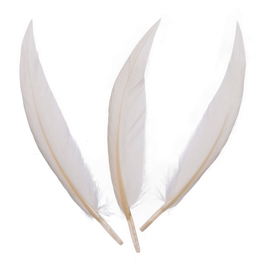 Art.12424 Pluma de Ganzo