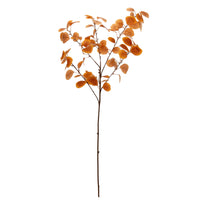 Art.12649 Vara Dolar X5 90cm