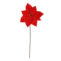 Art.12751 Nochebuena Cascabel D30xl60cm