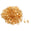 Fantasías Miguel Art.2107 Broche Langosta 11x5mm 144pz Oro