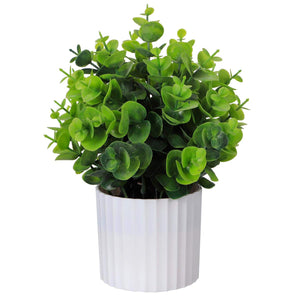 Art.2847 Planta C/Maceta 24cm