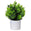 Fantasías Miguel Art.2847 Planta Con Maceta 24cm    (Aprox) 1pz 1