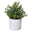 Fantasías Miguel Art.2847 Planta Con Maceta 24cm    (Aprox) 1pz 5