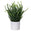 Fantasías Miguel Art.2847 Planta Con Maceta 24cm    (Aprox) 1pz 6