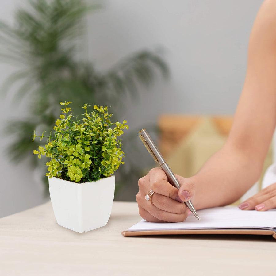 Art.3291 Arreglo Plantita Con Base 17x12x12cm 1pz