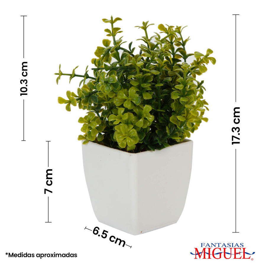 Art.3291 Arreglo Plantita Con Base 17x12x12cm 1pz