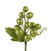image variant Verde Lima