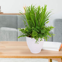 Art.6311 Planta Hojas Mini  Fina x3 35cm 1pz