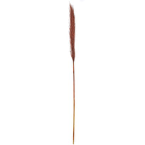 Art.6565 Flor De Pampa Grande