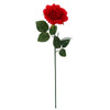 image variant Rojo