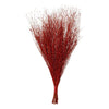 image variant Rojo