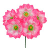 image variant Rosa