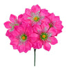 image variant Magenta