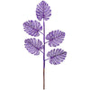 image variant Morado