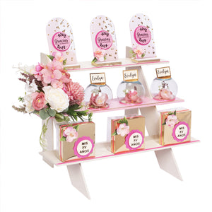 Recuerdos Xv Años Rosa