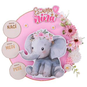 Letrero Bebe Recién Nacido