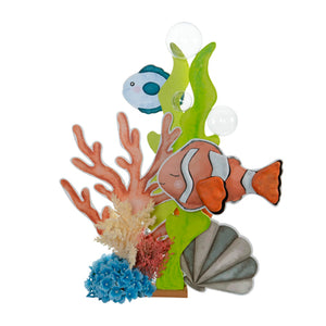 Alga1