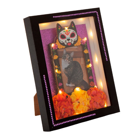 Marco Mascota Dia De Muertos