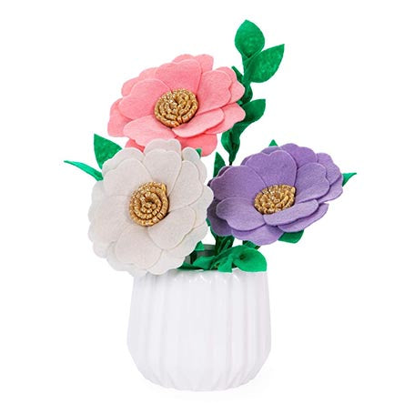 Flores Eternas