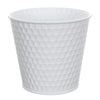 image variant Blanco Mate