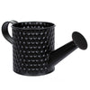 image variant Negro Mate