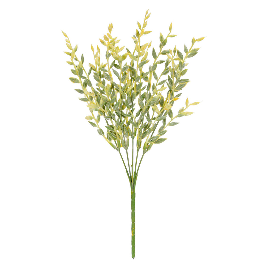 Art.10465 Planta Fina