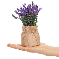Art.10544 Planta Base De Yute 17.5cm 1pz