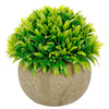 image variant Verde
