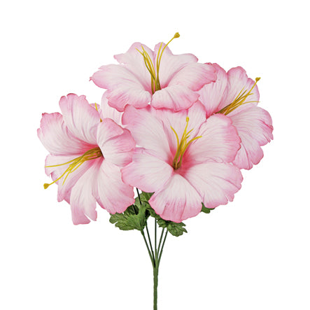 Art.10834 Bush Hibiscus Fino x5